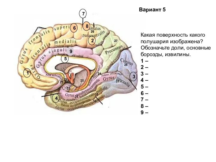 6 7 5 2 3 4 1 8 9 Какая поверхность какого