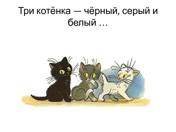 Три котёнка — чёрный, серый и белый …