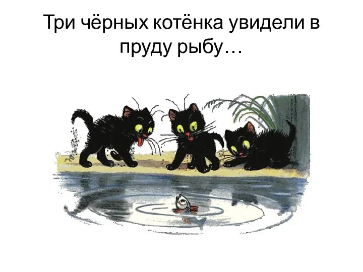 Три чёрных котёнка увидели в пруду рыбу…