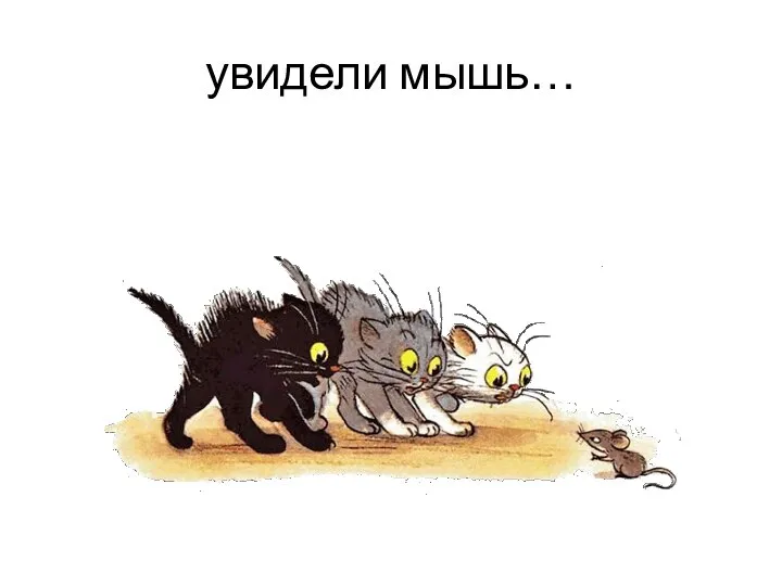 увидели мышь…