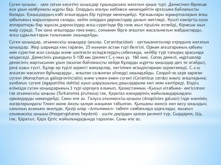 Сүген қоңызы – қаяз (отын кесетін) қоңыздар тұқымдасына жататын қоңыз түрі. Денесінен