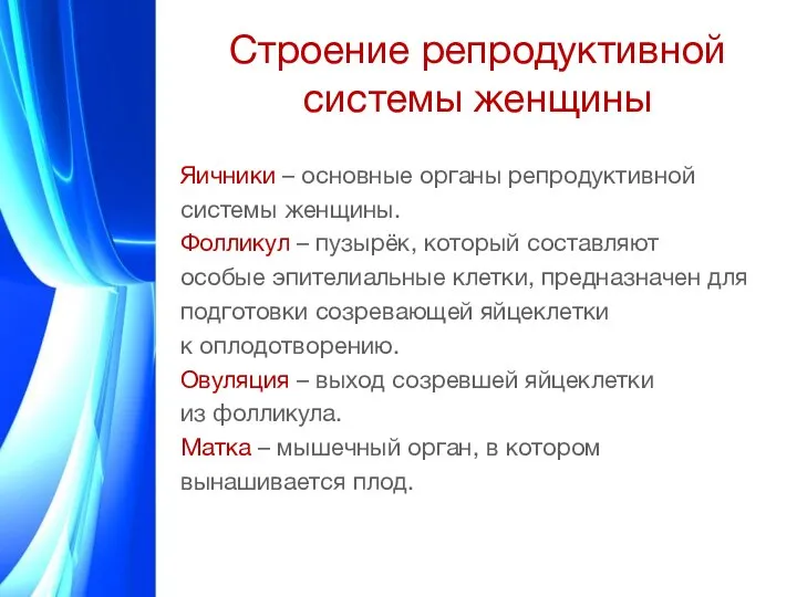 Строение репродуктивной системы женщины Яичники – основные органы репродуктивной системы женщины. Фолликул