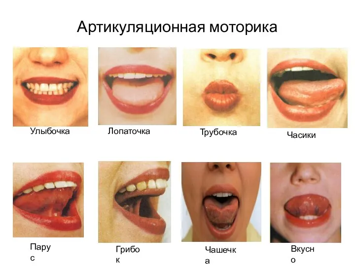 Артикуляционная моторика Улыбочка Лопаточка Трубочка Часики Парус Грибок Чашечка Вкусно