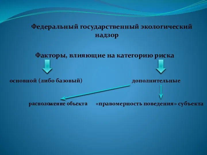 Федеральный государственный экологический надзор Факторы, влияющие на категорию риска основной (либо базовый)