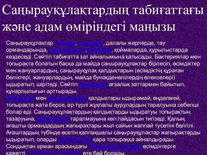 Саңырауқұлақтардың табиғаттағы және адам өміріндегі маңызы Саңырауқұлақтар тайгада, тундрада, далалы жерлерде, тау