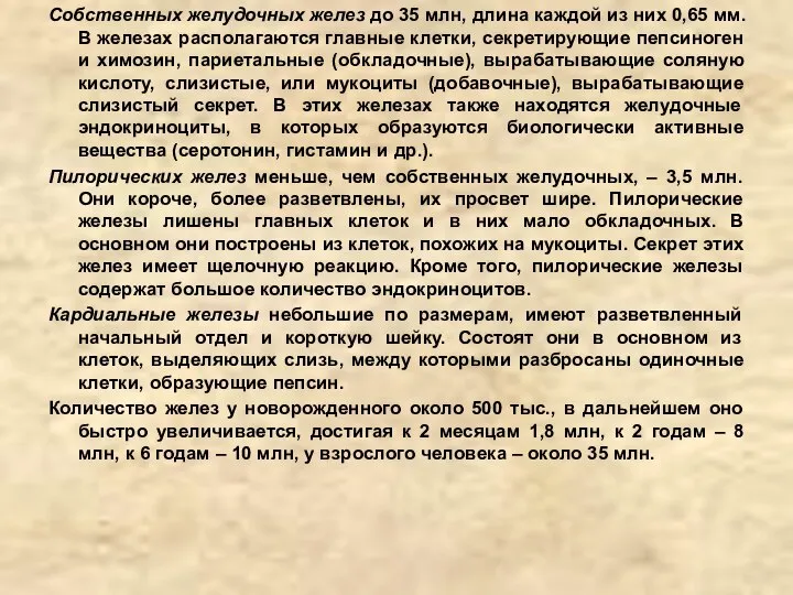 Собственных желудочных желез до 35 млн, длина каждой из них 0,65 мм.