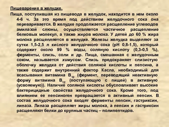 Пищеварение в желудке. Пища, поступившая из пищевода в желудок, находится в нем