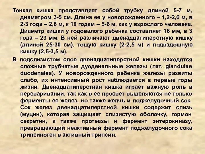 Тонкая кишка представляет собой трубку длиной 5-7 м, диаметром 3-5 см. Длина