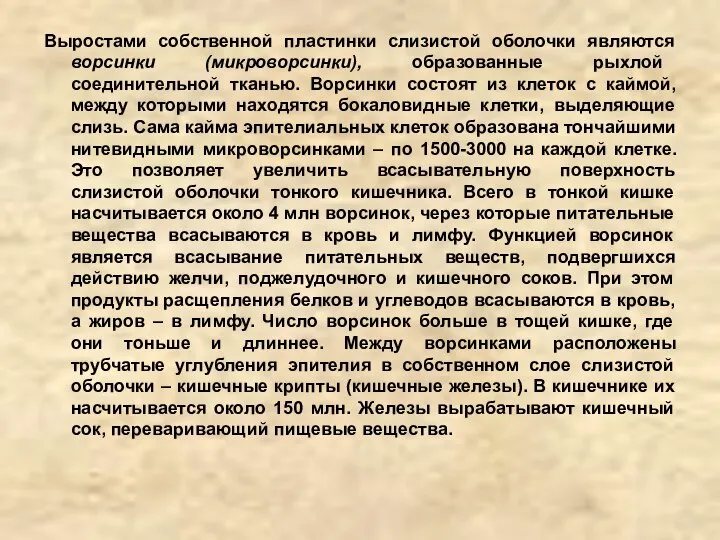 Выростами собственной пластинки слизистой оболочки являются ворсинки (микроворсинки), образованные рыхлой соединительной тканью.