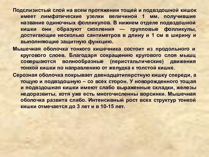 Подслизистый слой на всем протяжении тощей и подвздошной кишок имеет лимфатические узелки