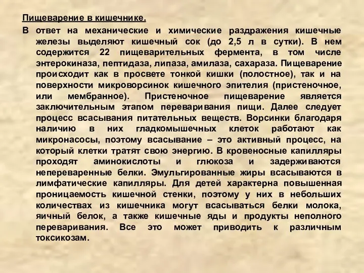 Пищеварение в кишечнике. В ответ на механические и химические раздражения кишечные железы