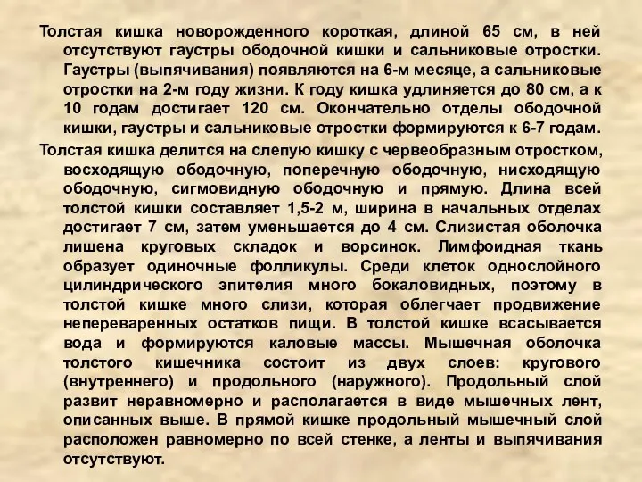 Толстая кишка новорожденного короткая, длиной 65 см, в ней отсутствуют гаустры ободочной