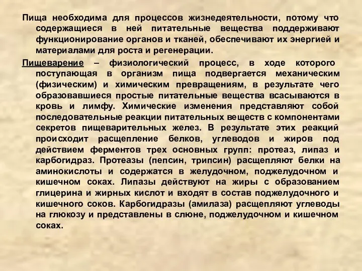 Пища необходима для процессов жизнедеятельности, потому что содержащиеся в ней питательные вещества