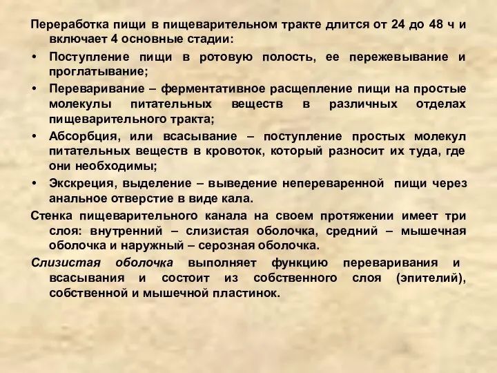 Переработка пищи в пищеварительном тракте длится от 24 до 48 ч и