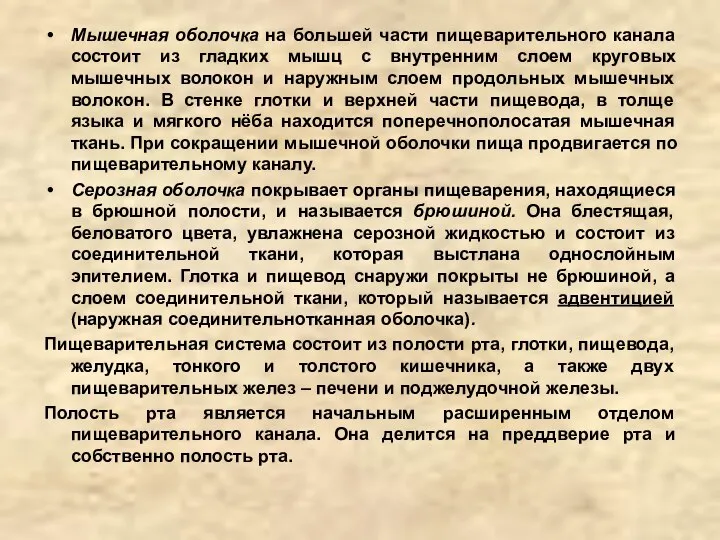 Мышечная оболочка на большей части пищеварительного канала состоит из гладких мышц с