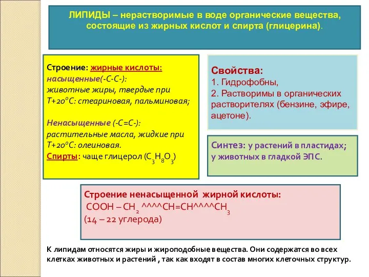 ЛИПИДЫ – нерастворимые в воде органические вещества, состоящие из жирных кислот и