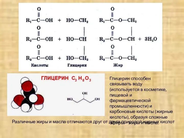 Различные жиры и масла отличаются друг от друга природой жирных кислот Глицерин