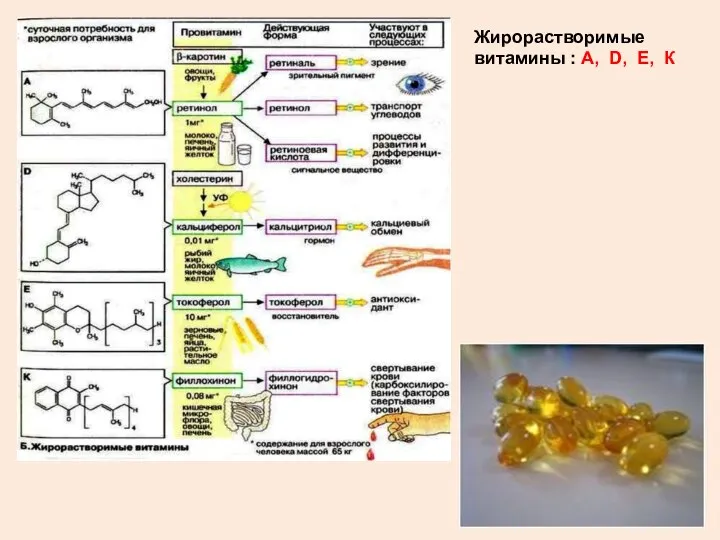 Жирорастворимые витамины : А, D, Е, К