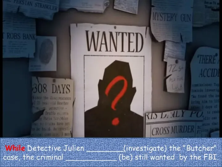 While Detective Julien ________(investigate) the "Butcher" case, the criminal ___________ (be) still wanted by the FBI.