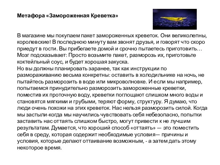 Метафора «Замороженная Креветка» В магазине мы покупаем пакет замороженных креветок. Они великолепны,