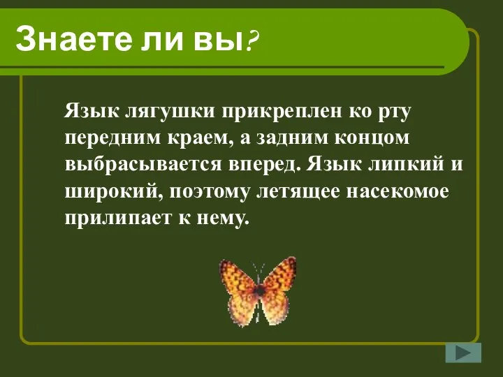 Знаете ли вы? Язык лягушки прикреплен ко рту передним краем, а задним