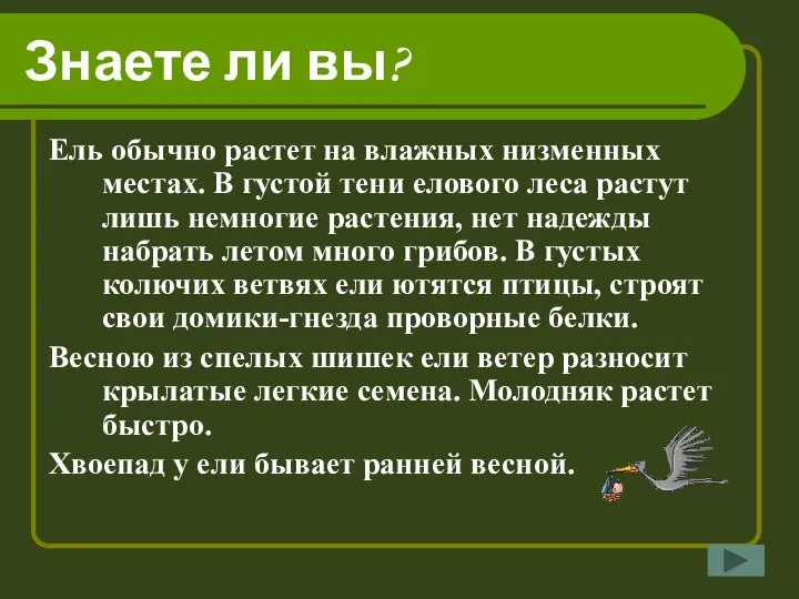 Знаете ли вы? Ель обычно растет на влажных низменных местах. В густой