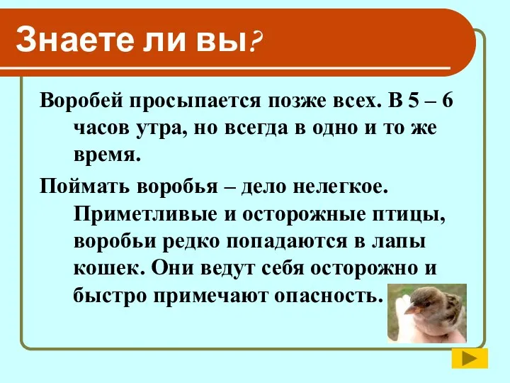 Знаете ли вы? Воробей просыпается позже всех. В 5 – 6 часов