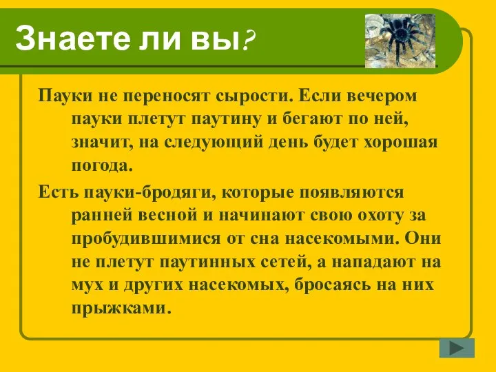 Знаете ли вы? Пауки не переносят сырости. Если вечером пауки плетут паутину