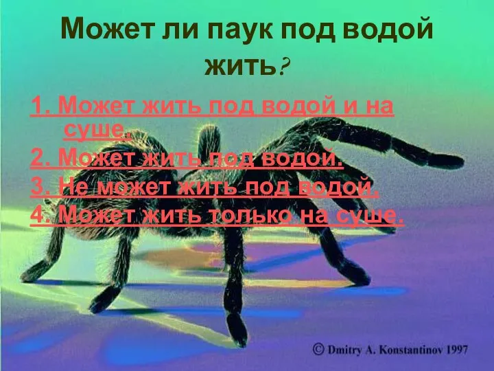 Может ли паук под водой жить? 1. Может жить под водой и