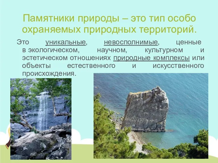 Памятники природы – это тип особо охраняемых природных территорий. Это уникальные, невосполнимые,