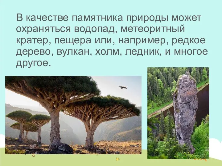 В качестве памятника природы может охраняться водопад, метеоритный кратер, пещера или, например,