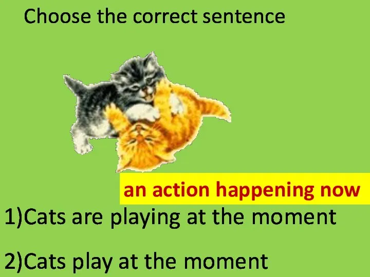Choose the correct sentence 1)Cats are playing at the moment 2)Cats play
