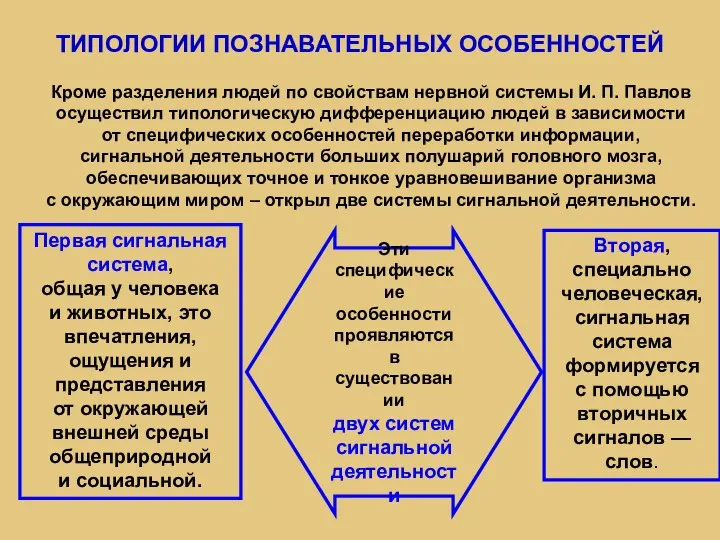 ТИПОЛОГИИ ПОЗНАВАТЕЛЬНЫХ ОСОБЕННОСТЕЙ Кроме разделения людей по свойствам нервной системы И. П.