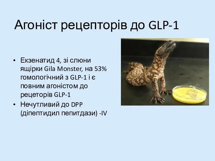 Агоніст рецепторів до GLP-1 Екзенатид 4, зі слюни ящірки Gila Monster, на