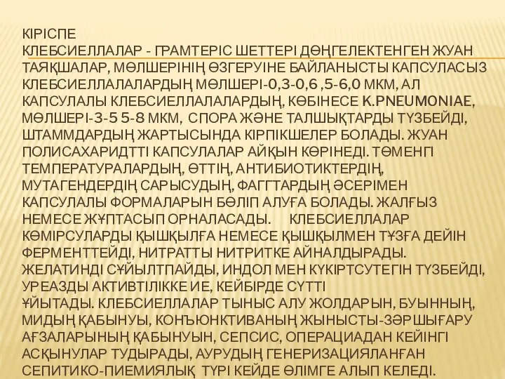 КІРІСПЕ КЛЕБСИЕЛЛАЛАР - ГРАМТЕРІС ШЕТТЕРІ ДӨҢГЕЛЕКТЕНГЕН ЖУАН ТАЯҚШАЛАР, МӨЛШЕРІНІҢ ӨЗГЕРУІНЕ БАЙЛАНЫСТЫ КАПСУЛАСЫЗ