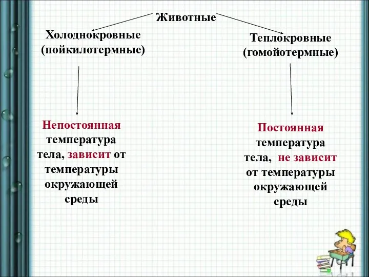 Животные Теплокровные (гомойотермные) Холоднокровные (пойкилотермные) Непостоянная температура тела, зависит от температуры окружающей