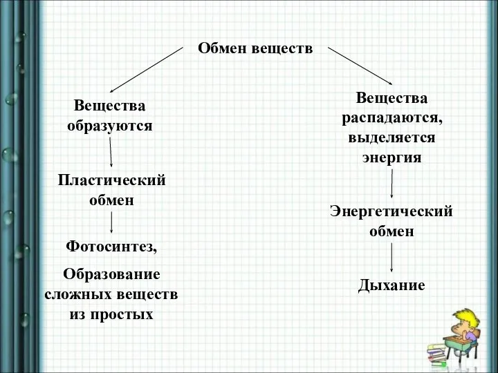 Обмен веществ Энергетический обмен Вещества распадаются, выделяется энергия Пластический обмен Вещества образуются