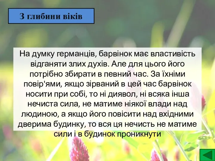 З глибини віків На думку германців, барвінок має властивість відганяти злих духів.