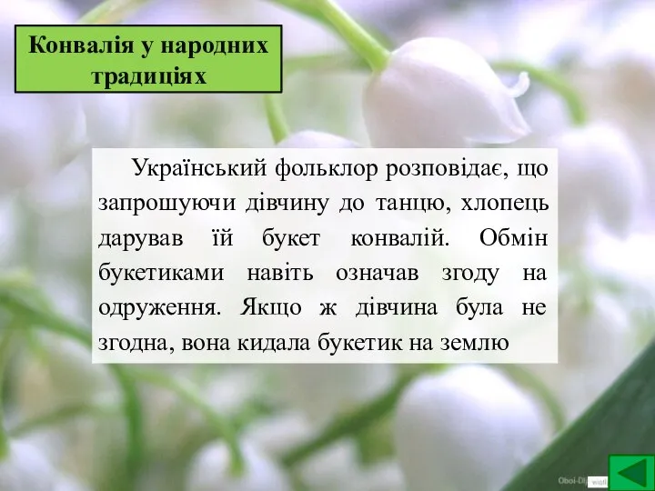 Конвалія у народних традиціях Український фольклор розповідає, що запрошуючи дівчину до танцю,