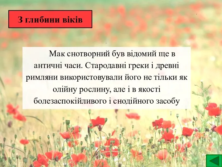 З глибини віків Мак снотворний був відомий ще в античні часи. Стародавні