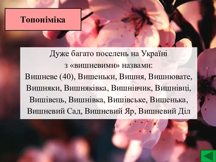 Топоніміка Дуже багато поселень на Україні з «вишневими» назвами: Вишневе (40), Вишеньки,