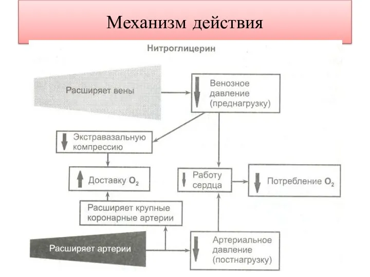 Механизм действия