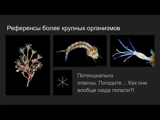 Референсы более крупных организмов Потенциально опасны. Погодите… Как они вообще сюда попали?!