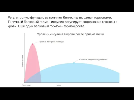 Регуляторную функцию выполняют белки, являющиеся гормонами. Типичный белковый гормон инсулин регулирует содержание