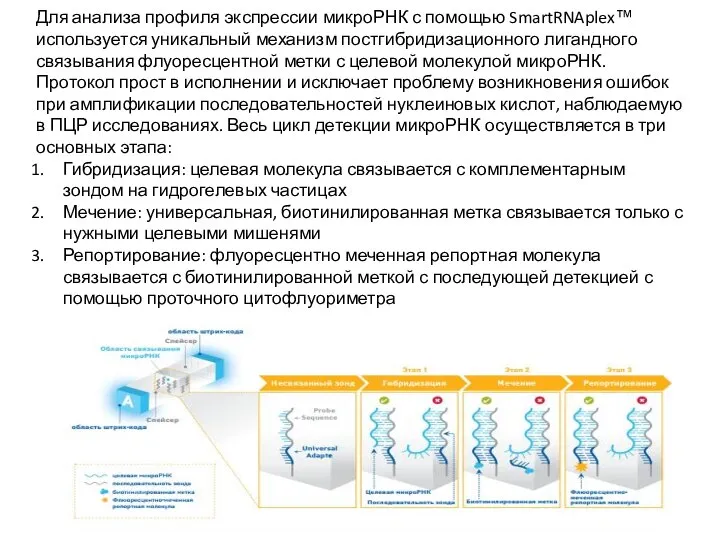 Для анализа профиля экспрессии микроРНК с помощью SmartRNAplex™ используется уникальный механизм постгибридизационного