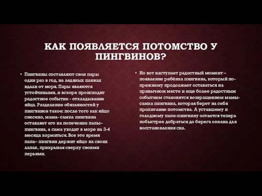 КАК ПОЯВЛЯЕТСЯ ПОТОМСТВО У ПИНГВИНОВ? Пингвины составляют свои пары один раз в