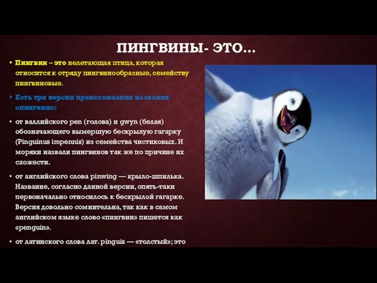 ПИНГВИНЫ- ЭТО… Пингвин – это нелетающая птица, которая относится к отряду пингвинообразные,