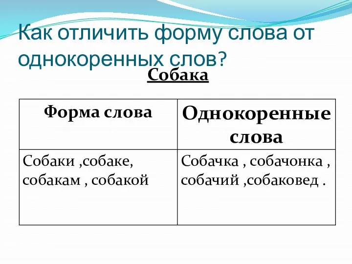 Как отличить форму слова от однокоренных слов? Собака