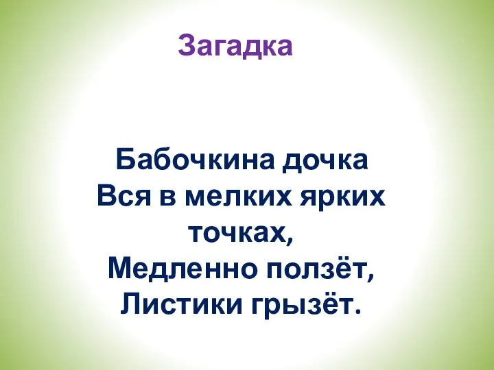 Загадка Бабочкина дочка Вся в мелких ярких точках, Медленно ползёт, Листики грызёт.