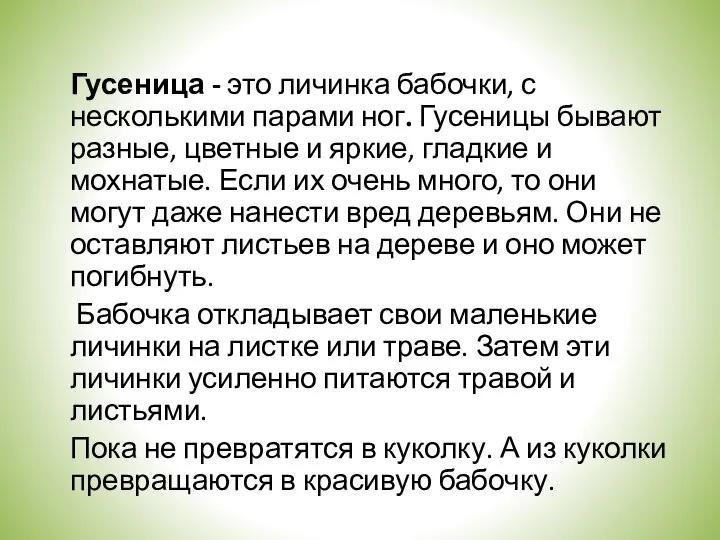 Гусеница - это личинка бабочки, с несколькими парами ног. Гусеницы бывают разные,